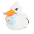 Stork