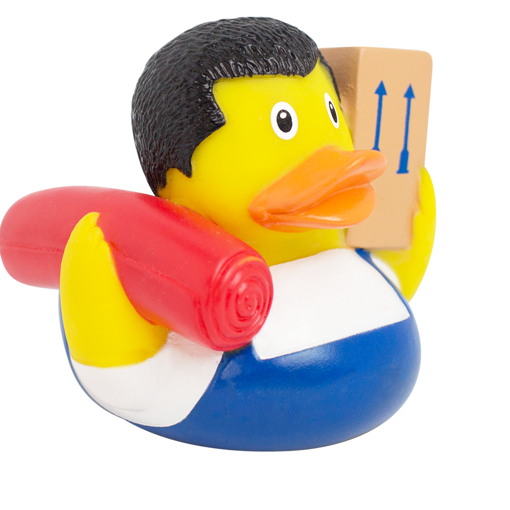 Duck