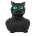 Black Dragon Duck