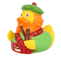Canard Écossais