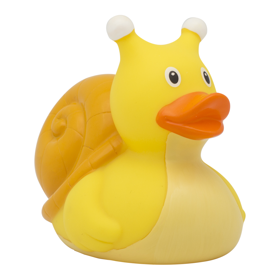 Snail duck