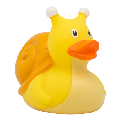 Snail duck