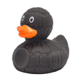 Black Star Duck