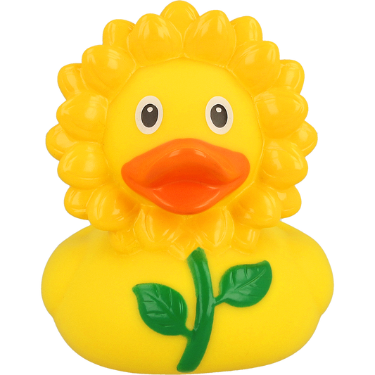 Canard Tournesol