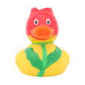 Duck tulip
