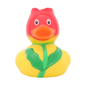 Ente Tulipe
