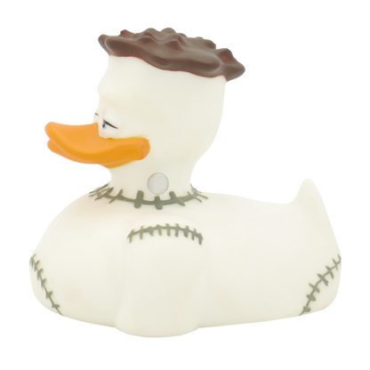 Canard Frankenstein