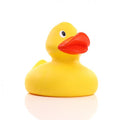 Giant 4XL Yellow Duck