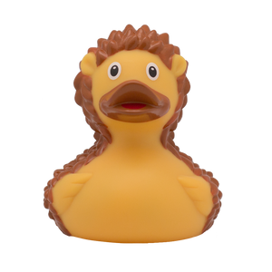 Ente Hérisson