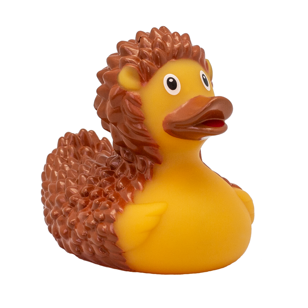Ente Hérisson