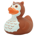 Ente Eule