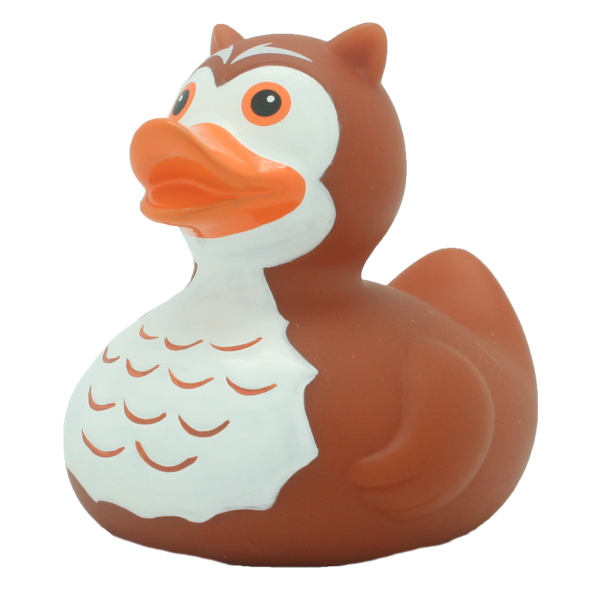 Canard Hibou