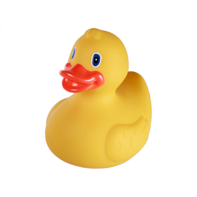 Canard Jaune de Bain