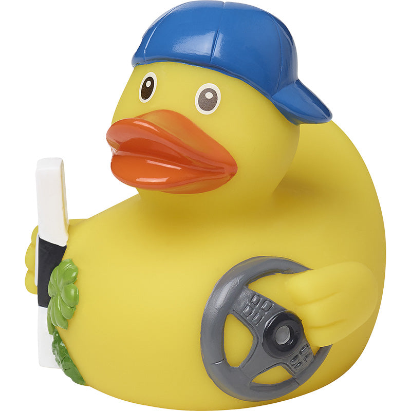 Ente Permis de Conduire