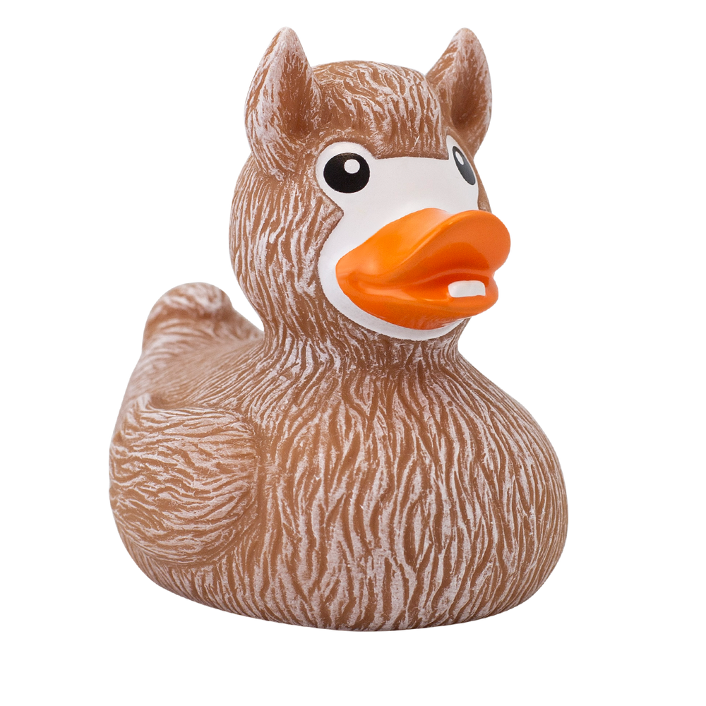 Duck lama