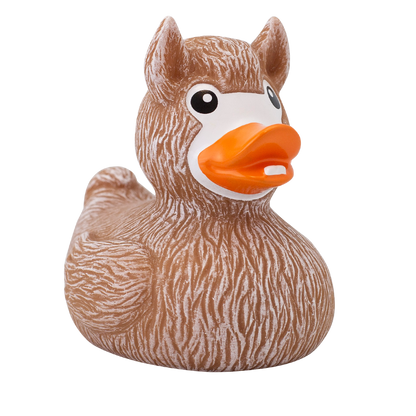 Canard Lama