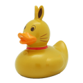 Gold rabbit duck