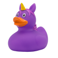 Duck in Violette