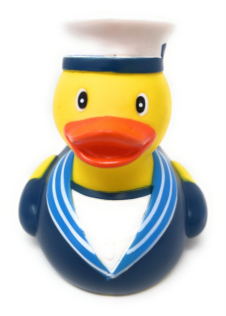 Canard Marin Anglais