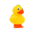 Ente Marin Debout