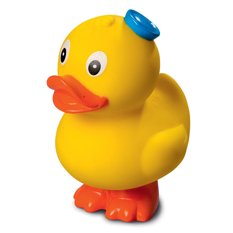 Ente Marin Debout
