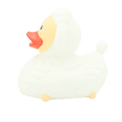 Sheep duck