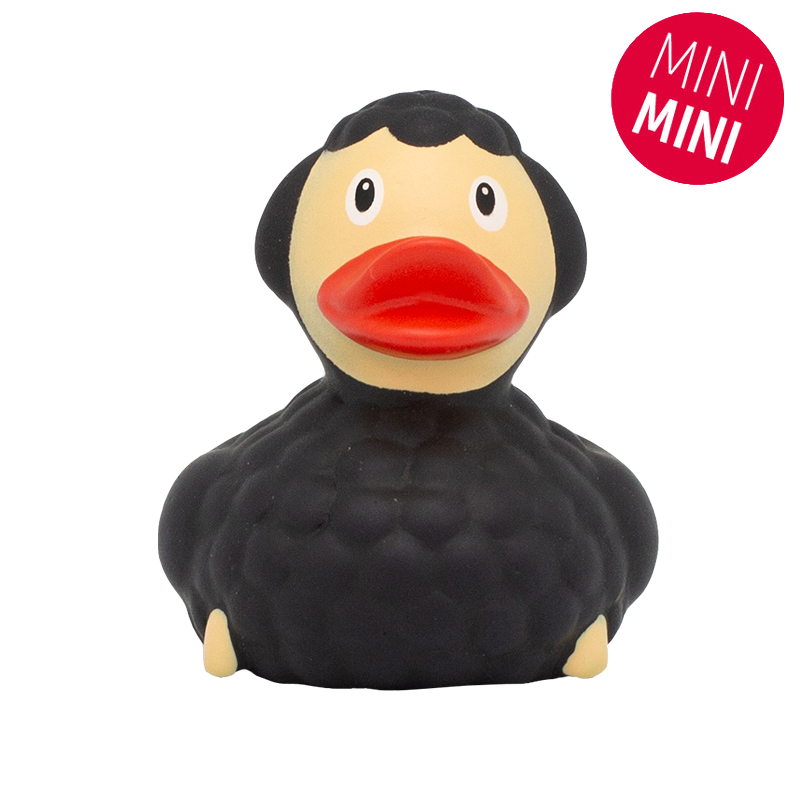 Mini black sheep duck