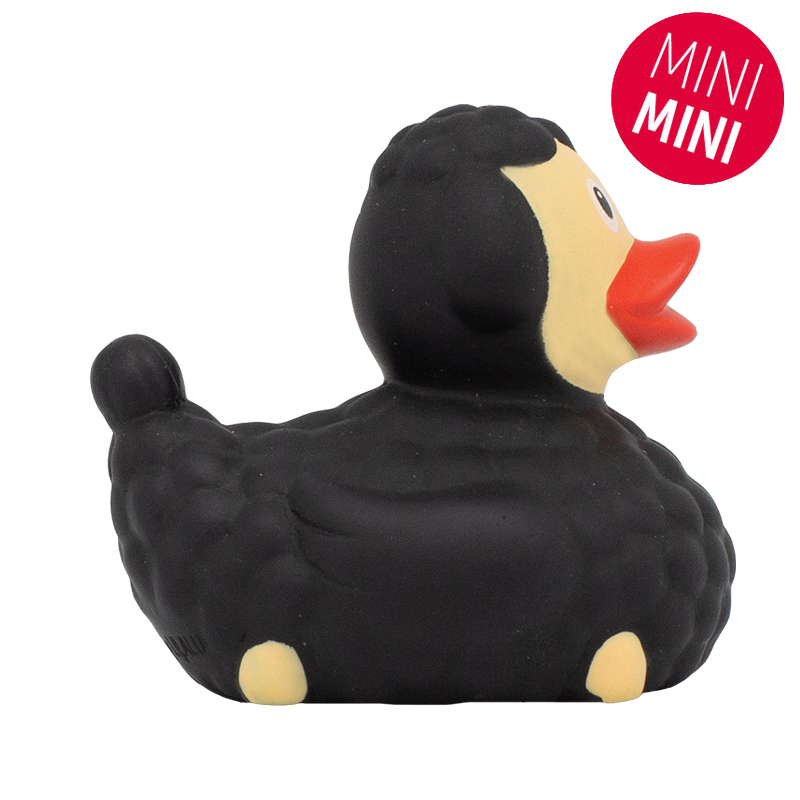 Mini Canard Mouton Noir