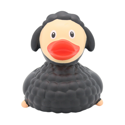 Black sheep duck