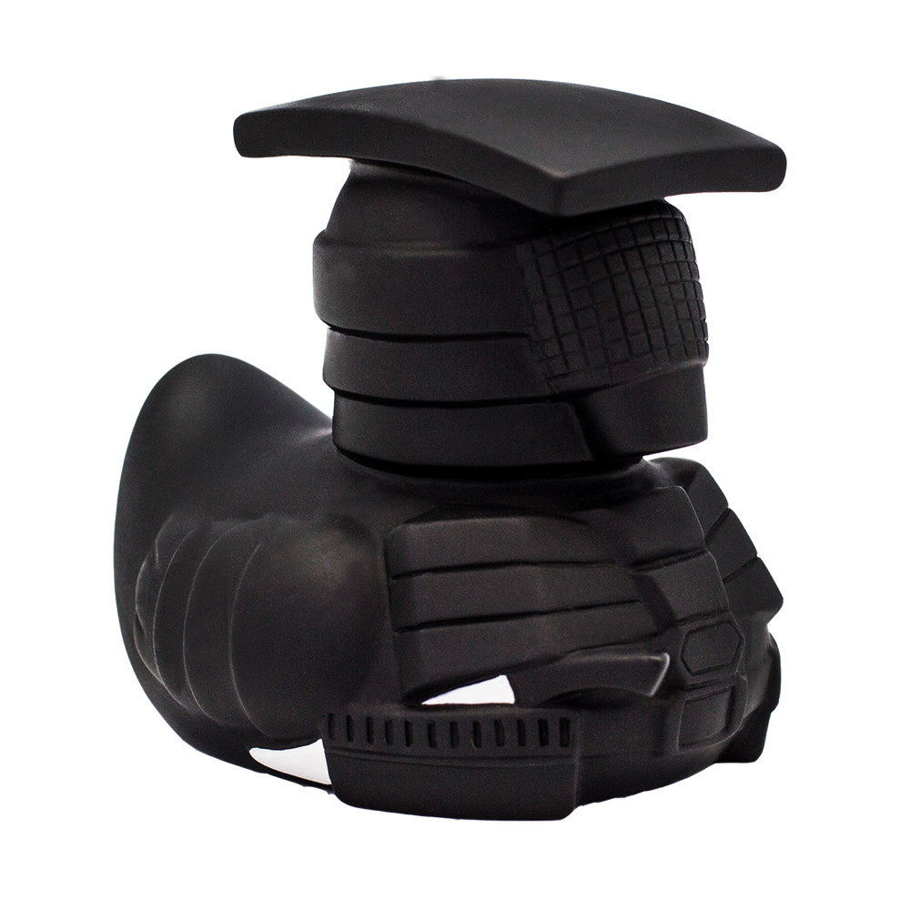 Ente Ninja Warden