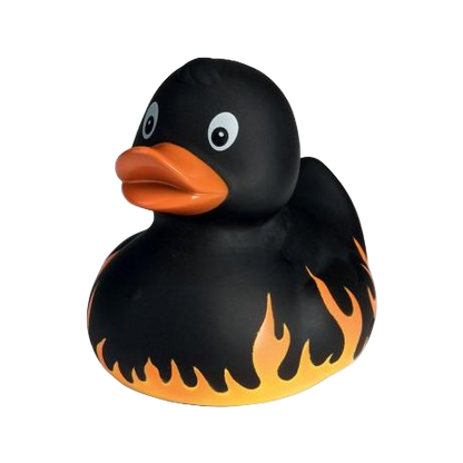 Canard Flammes