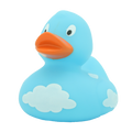 Canard Nuages