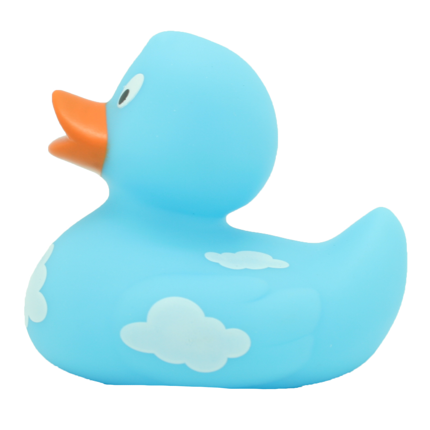 Canard Nuages