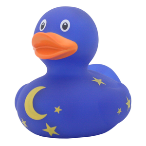 Ente Sternennacht