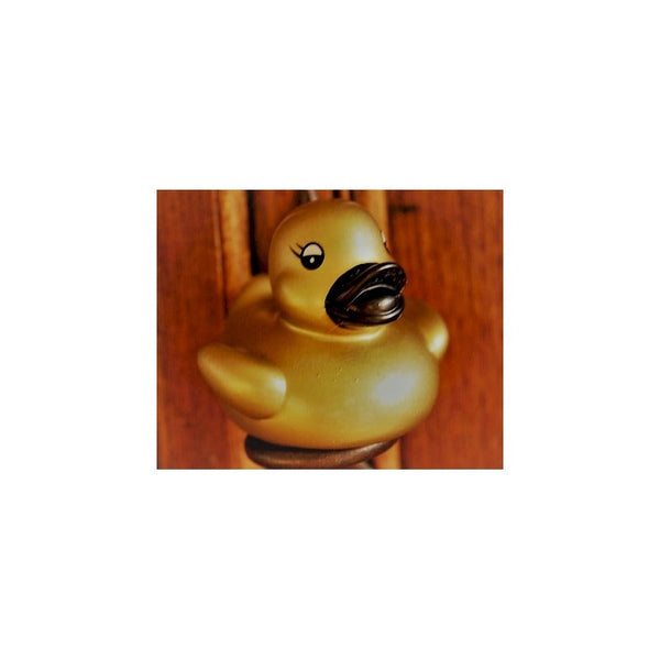 Kleine gouden eend