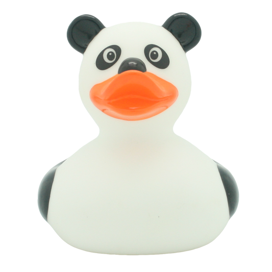 Canard Panda