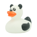 Canard Panda