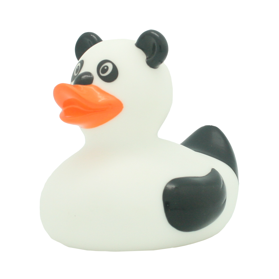 Canard Panda