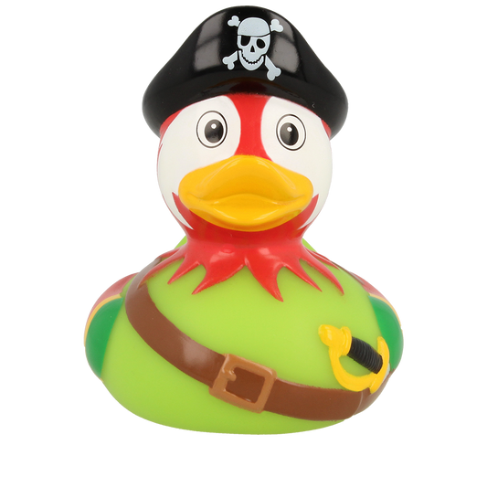 Duck pirate parrot