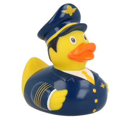 Canard Pilote de Ligne