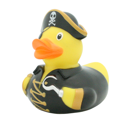 Pirate duck