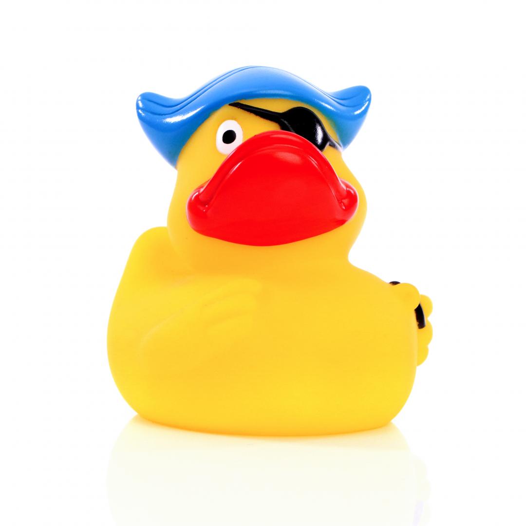 Pirate duck