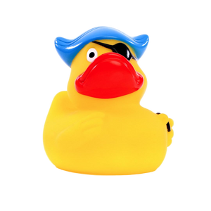 Pirate duck