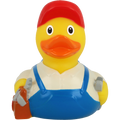 Canard Bricoleur