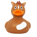 Eendje Pony