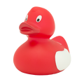 Deel geluk met Duck