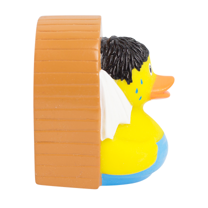 Canard Sauna