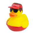 Canard Sauveteur