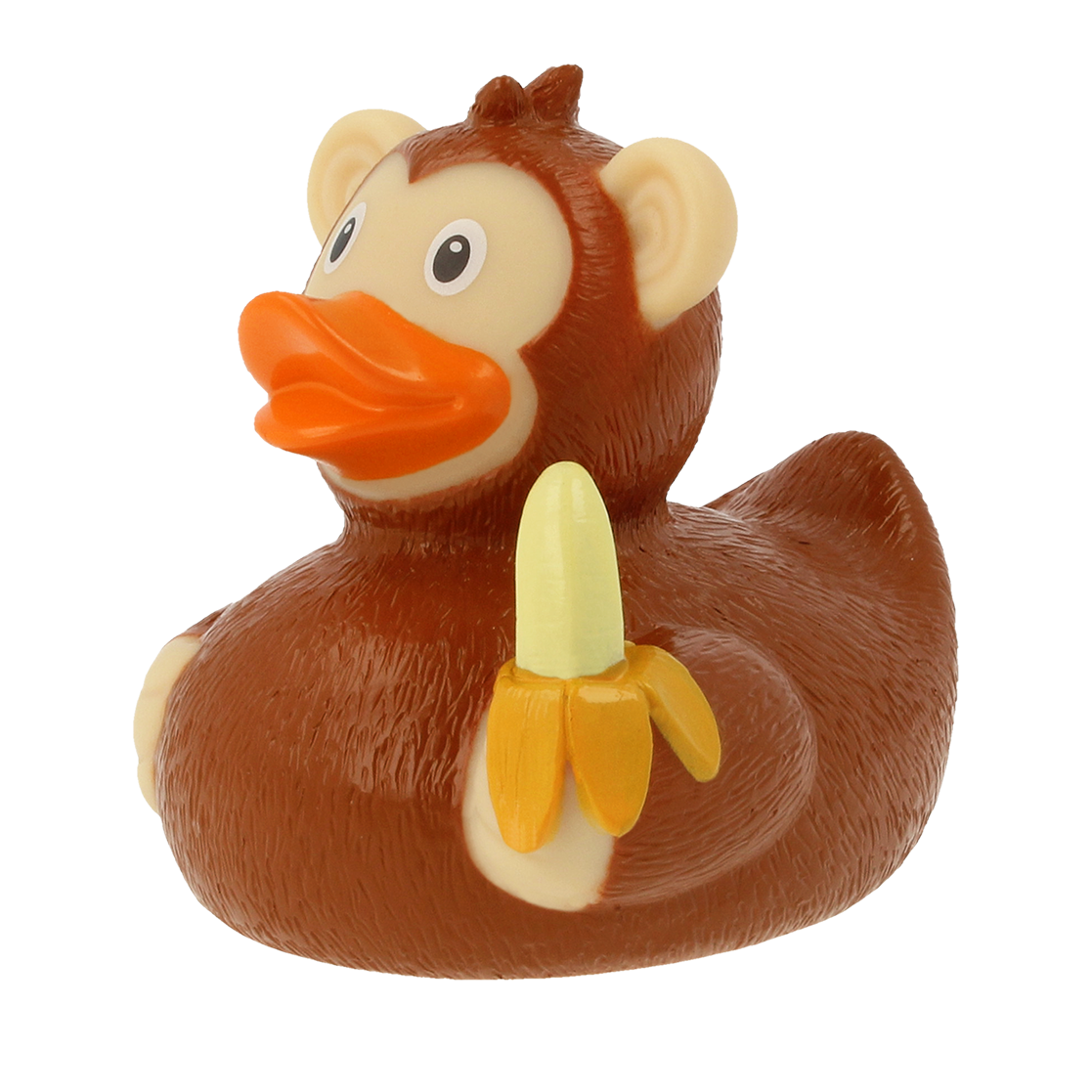 Canard Singe