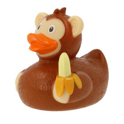 Canard Singe